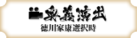 奥義演出 徳川家康選択時