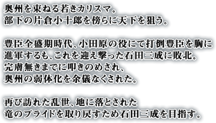 奥州を束ねる若きカリスマ。部下の片倉小十郎を傍らに天下を狙う。豊臣全盛期時代、小田原の役にて打倒豊臣を胸に進軍するも、これを迎え撃った石田三成に敗北。完膚無きまでに叩きのめされ、奥州の弱体化を余儀なくされた。再び訪れた乱世、地に落とされた竜のプライドを取り戻すため石田三成を目指す。