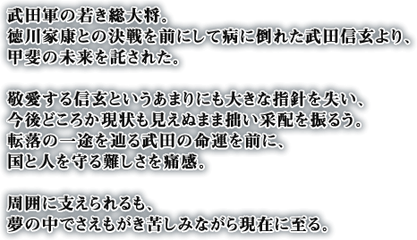 武田軍の若き総大将。徳川家康との決戦を前にして病に倒れた武田信玄より、甲斐の未来を託された。敬愛する信玄というあまりにも大きな指針を失い、今後どころか現状も見えぬまま拙い采配を振るう。転落の一途を辿る武田の命運を前に、国と人を守る難しさを痛感。周囲に支えられるも、夢の中でさえもがき苦しみながら現在に至る。